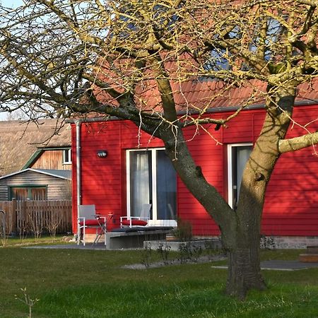Ferienwohnung Rote Kate 博恩 外观 照片