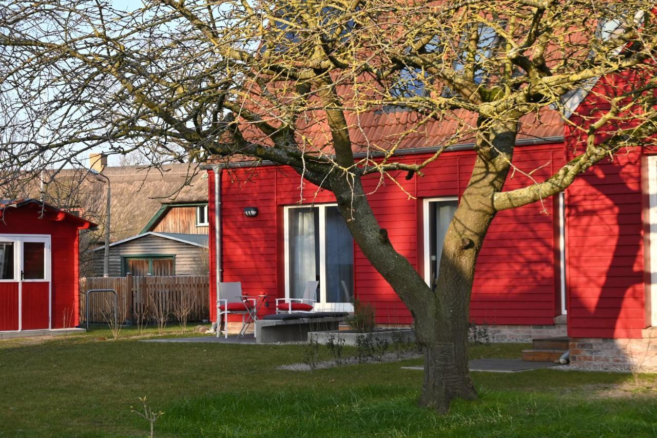 Ferienwohnung Rote Kate 博恩 外观 照片